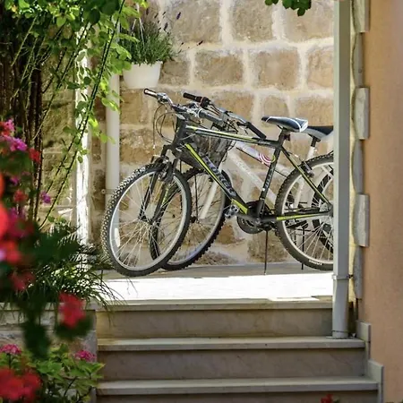 Luxury House Anita In Old Town Cavtat-beachfront